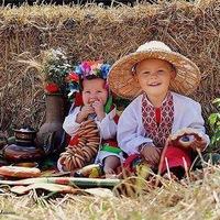 Михаил Овсиенко, Засл.працівник культури  