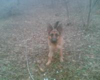 В Т, Дачник-задачник 