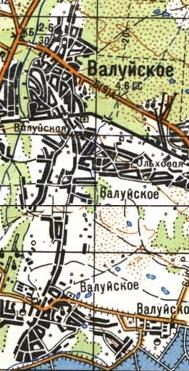 Topographic map of Valuyske