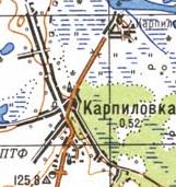 Топографічна карта Карпилівки