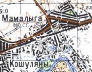 Topographic map of Mamalyga