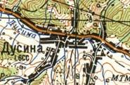 Topographic map of Dusyno