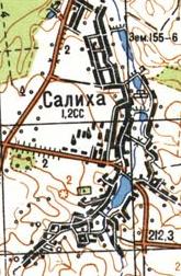 Топографическая карта Салихи