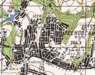 Топографічна карта Ясенівського