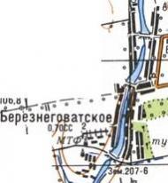 Топографічна карта Березнегуватського