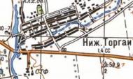 Топографічна карта Нижніх Торгаїв
