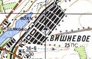 Топографічна карта Вишневого